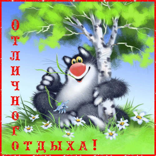 Открытка Открытки хорошего отдыха - Отдых на природе: милый кот в траве | Красивая открытка #237