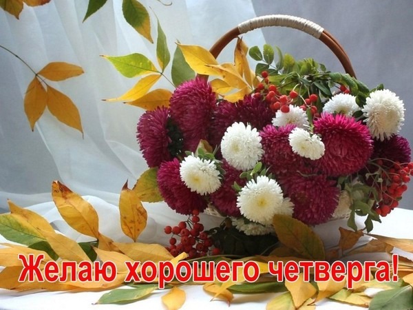 Открытка Открытки на четверг - Открытка с осенними листьями и цветами | Красивая открытка #34
