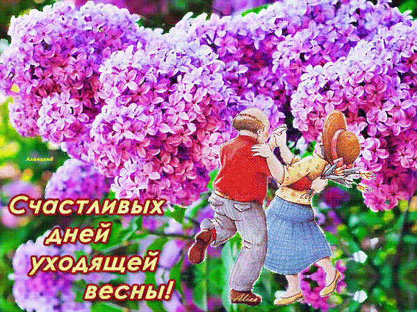 Открытка Открытки весенняя пора - Пара под сиреневым цветом: открытка с днем рождения | Красивая открытка #175