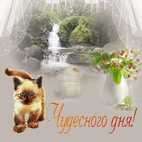 Открытка чудесного дня! - Поздравления с Днём рождения: котенок и цветы | Красивая открытка #7