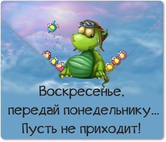 Открытка Открытки на воскресенье - Забавная черепаха в очках летит на воздушных шариках | Красивая открытка #77