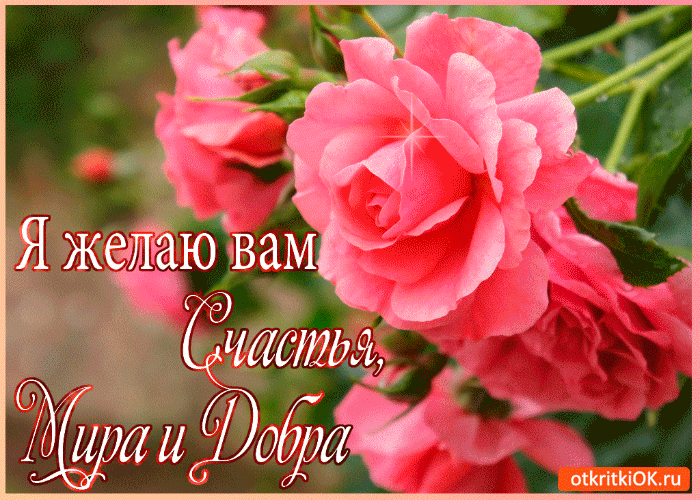 Открытка Желаю счастья - Букет роз: открытка с цветами | Красивая открытка #138