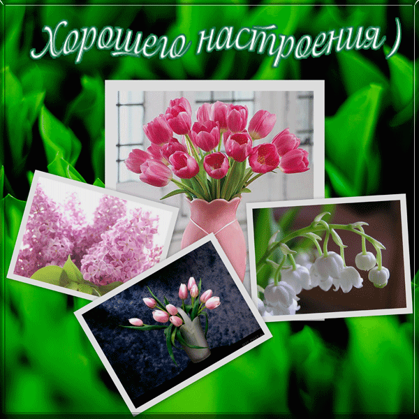 Открытка Открытки хорошего настроения - Открытки с цветами: сирень, тюльпаны, лилии | Красивая открытка #191