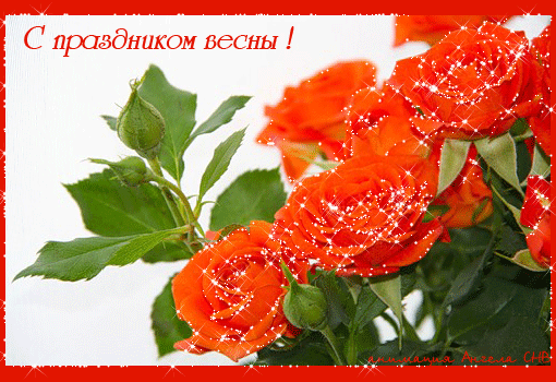 Открытка Открытки весенняя пора - Алые розы на открытке: поздравления с праздником | Красивая открытка #52