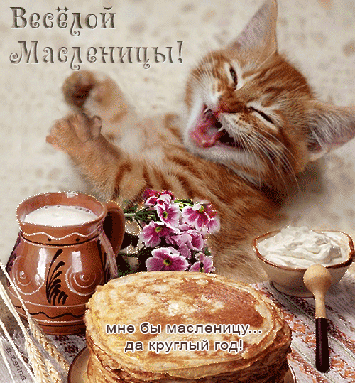 Открытка Масленица - Открытка с блинами и котиком | Красивая открытка #241