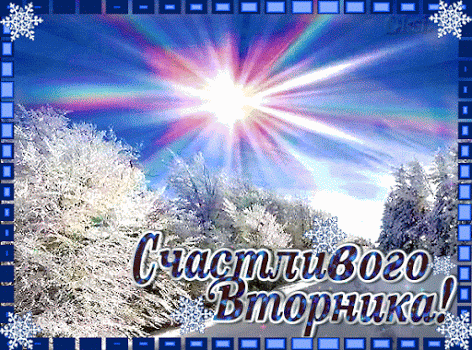 Открытка Открытки на вторник - Заснеженный лес, зимняя открытка с солнцем | Красивая открытка #143