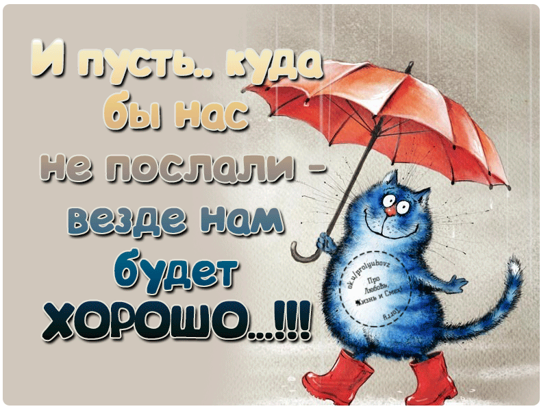 Открытка Открытки все будет хорошо - Котик с зонтом: Открытка с котом под дождем | Красивая открытка #16