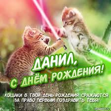 Открытка открытки с именем Данил - С Днем рождения! Два котенка с мечами | Красивая открытка #6