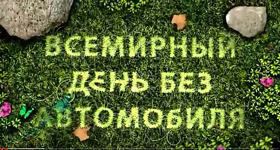Открытка Открытки на день без автомобиля - Открытка: День без автомобиля. Зелень, листья, цветы. | Красивая открытка #21