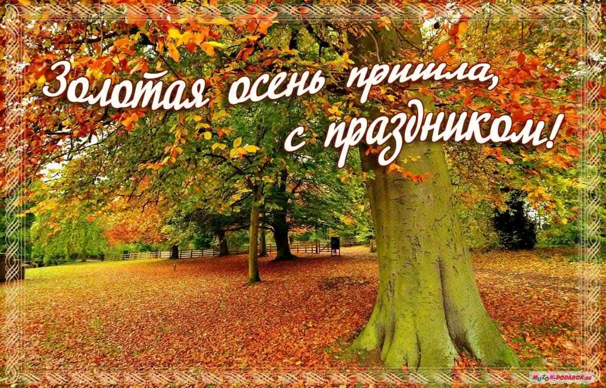 Открытка Открытки с первым днем осени - Золотая осень: открытка с яркими красками природы | Красивая открытка #15
