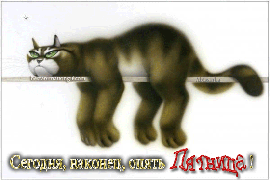 Открытка Открытки на пятницу - Кошка на заборе: анимированная открытка  Bestanimationg | Красивая открытка #233