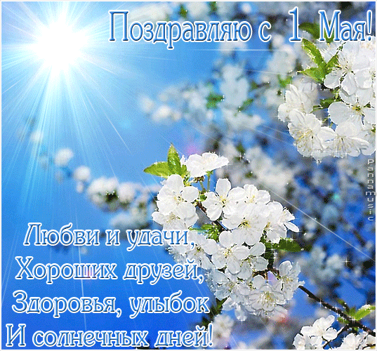 Открытка 1 мая - Цветущая вишня: поздравительная открытка | Красивая открытка #327