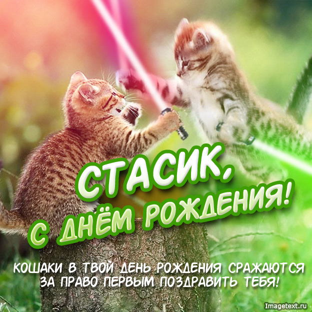 Открытка Открытки с именем Станислав  - С Днём Рождения! Открытка с котиками - Поздравления | Красивая открытка #4