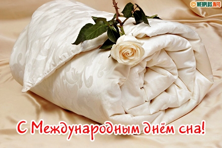 Открытка Открытки на Всемирный день сна - С Днем сна: Пушистое укрытие и нежный цветок | Красивая открытка #17