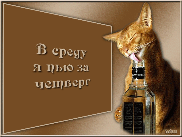 Открытка Открытки на четверг - Рыжий кот с бутылкой шампанского  открытка | Красивая открытка #73