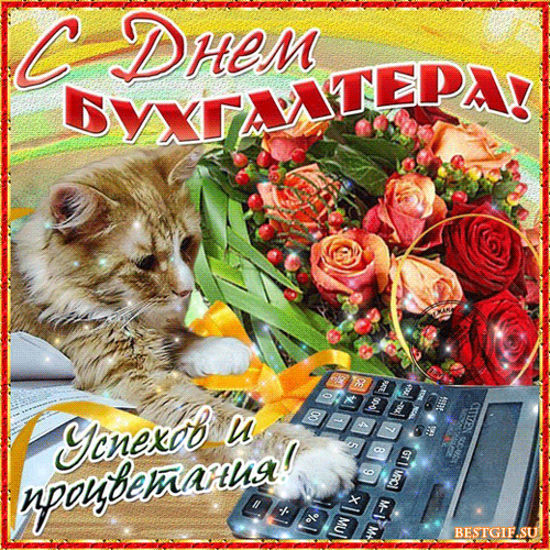Открытка Открытки с днем бухгалтера - С Днём бухгалтера! Открытка с котиком и цветами | Красивая открытка #21