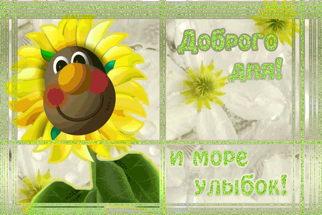 Открытка Открытки улыбнись - Открытка с подсолнухом: хорошее настроение и улыбки | Красивая открытка #144