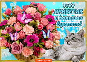 Открытка С приветствием - Открытка с котиком и цветами: розы, маки, бабочки | Красивая открытка #23