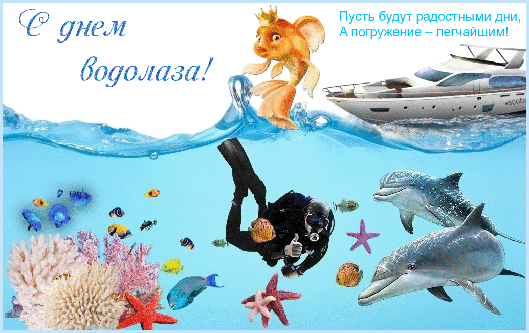 Открытка Открытки с днем водолаза - Открытка с дельфинами, рыбами и аквалангистом | Красивая открытка #2