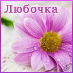 Открытка открытки с именем Любовь - Розовая ромашка с каплями росы - открытка | Красивая открытка #15