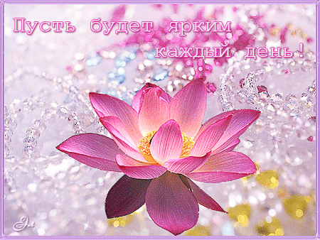 Открытка С лотосом - Розовый лотос на фоне снежинок - открытка | Красивая открытка #61
