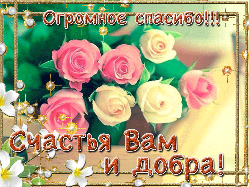 Открытка Спасибо - Букет розовых роз на открытке | Красивая открытка #11