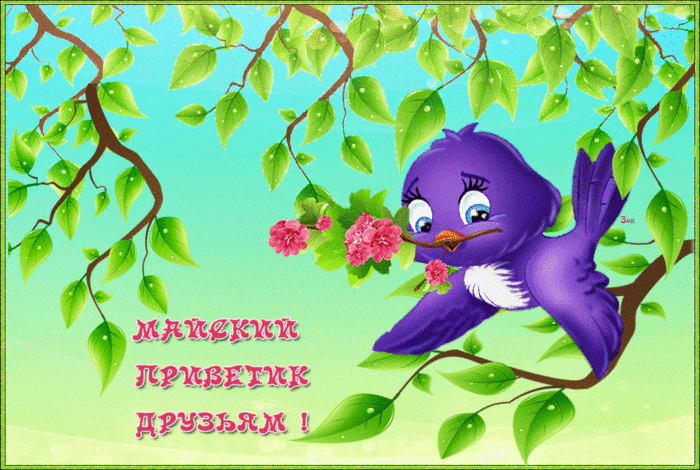 Открытка Майский - Пурпурный птенчик на ветке с цветами | Красивая открытка #3