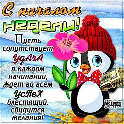Открытка открытки с пожеланиями хорошей недели  - Открытка с пингвином и долларами | Красивая открытка #13