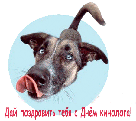 Открытка День кинолога - Открытка с щенком: С Днём кинолога! | Красивая открытка #11