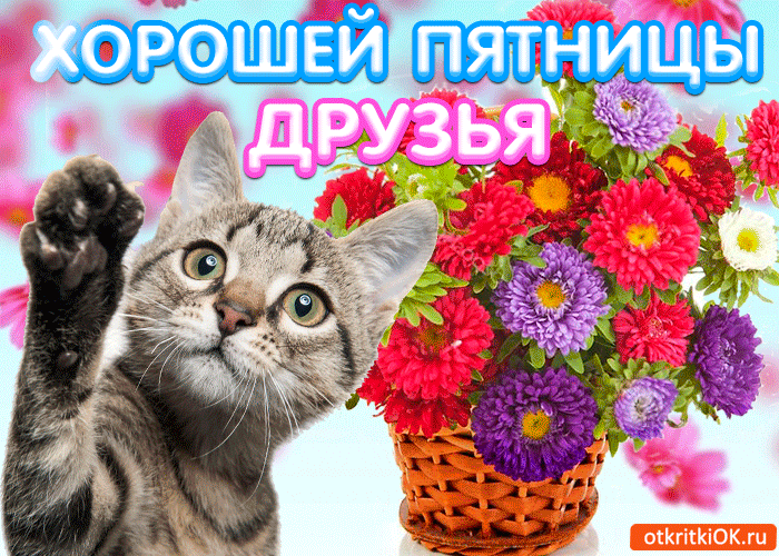 Открытка Хорошей пятницы - Открытка с котенком и цветами в корзине | Красивая открытка #6