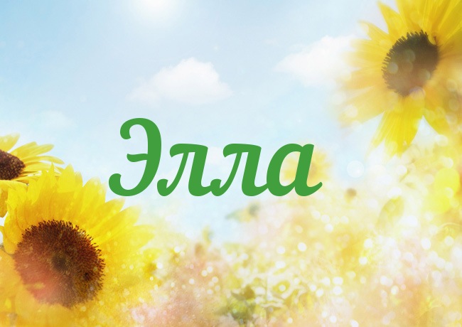 Открытка открытки с именем Элла - Открытка с подсолнухами на фоне голубого неба | Красивая открытка #28