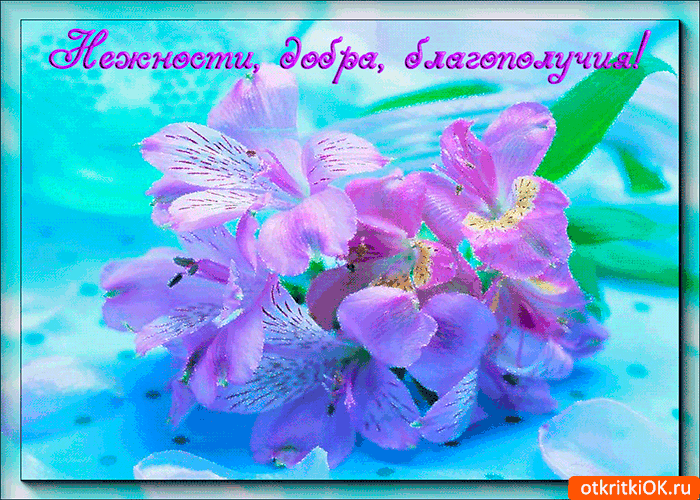 Открытка С пожеланиями благополучия - Фиолетовые цветы на синем фоне. Открытка с цветами. | Красивая открытка #7