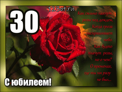 Открытка Открытки на 30 лет - Поздравление с юбилеем: Красная роза с каплями росы | Красивая открытка #32