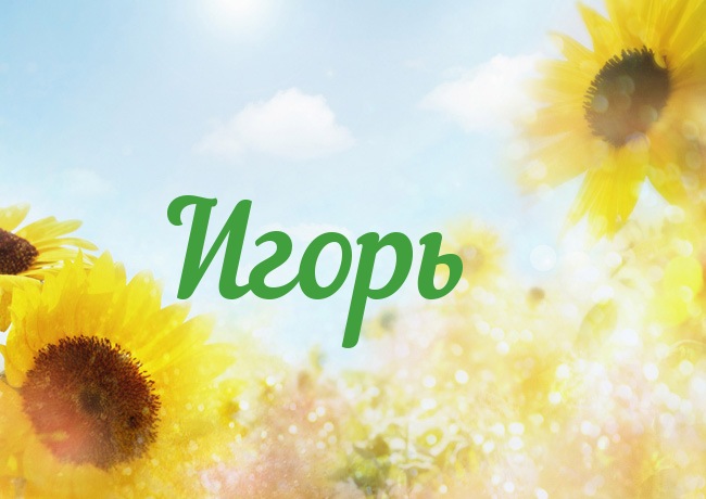 Открытка открытки с именем Игорь - Открытка с подсолнухами на фоне неба | Красивая открытка #16