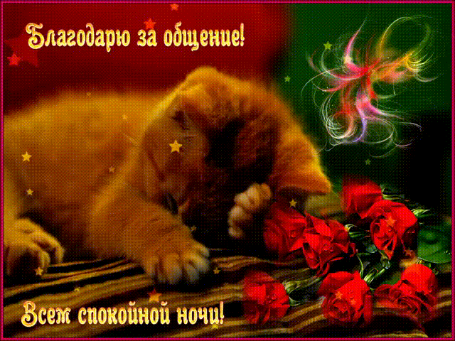 Открытка Спокойной ночи анимация - Котенок спит среди роз - открытка ко дню | Красивая открытка #13