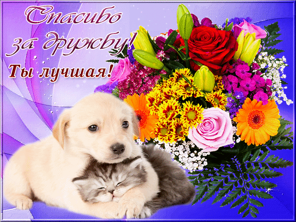 Открытка Ты лучшая - Открытка с щенками и цветами | Красивая открытка #7