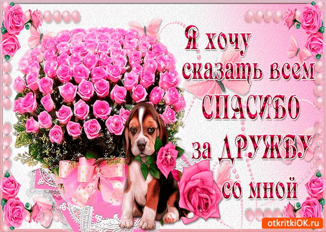 Открытка О дружбе - Открытка с щенком и розами: милая поздравительная картинка | Красивая открытка #5