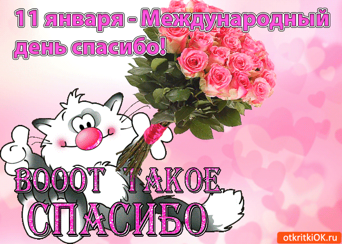 Открытка Открытки с днем спасибо - Открытка с котиком и розами  Приятные сюрпризы | Красивая открытка #14