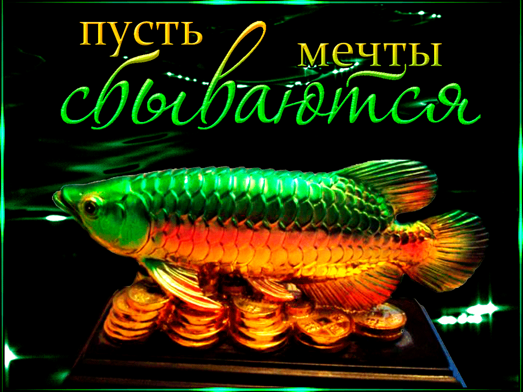 Открытка Открытки пусть сбудутся мечты - Золотая рыбка на фоне монет | Красивая открытка #9