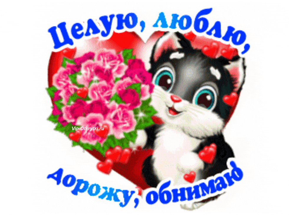 Открытка Целую - Открытка с котенком и цветами | Красивая открытка #31