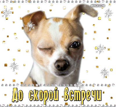 Открытка Прощания - Открытка с щенком: С Новым годом! | Красивая открытка #13