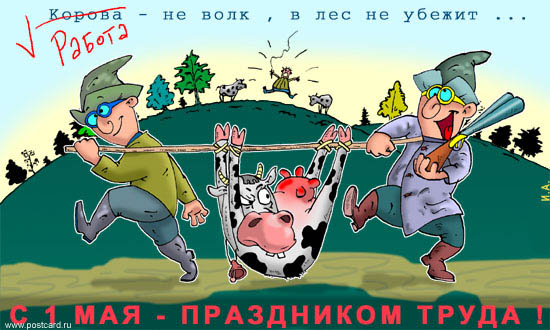 Открытка открытки с приколами на 1 мая - Открытка с 1 мая: Мужчины несут корову  смешная поздравление | Красивая открытка #6