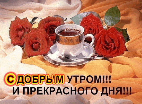 Открытка Открытки хорошего дня - Открытка: Утро с чашкой чая и розами | Красивая открытка #177