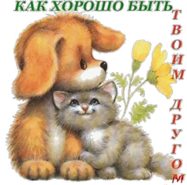 Открытка Открытки о дружбе - Открытка: Кролик и котенок под цветком | Красивая открытка #127