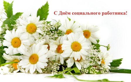 Открытка С днём социального работника - Открытка с ромашками: нежные цветы для тебя | Красивая открытка #31