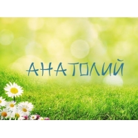 Открытка открытки с именем Анатолий - Открытка с ромашками на траве | Красивая открытка #24