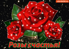 Открытка С красными розами - Открытка с красными розами и надписью "Розы счастья!" | Красивая открытка #74