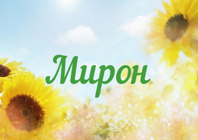 Открытка Открытки с именем Мирон  - Открытка с подсолнухами: яркий солнечный день | Красивая открытка #15