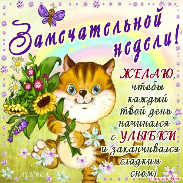Открытка Хорошей недели - Игривая кошка с цветами: открытка с днем рождения | Красивая открытка #35