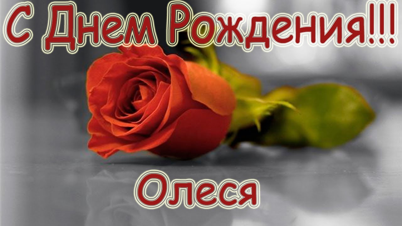Открытка открытки с именем Олеся  - Красная роза на сером фоне. Праздничная открытка. | Красивая открытка #17